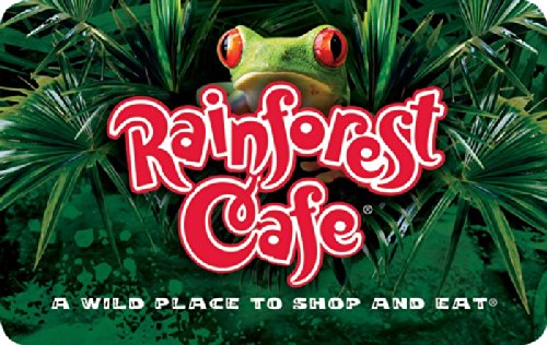 Rainforest-Ca.jpg